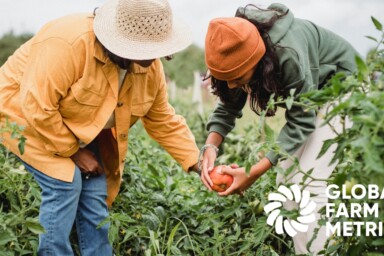 Exploring the Global Farm Metric: measuring on-farm sustainability
